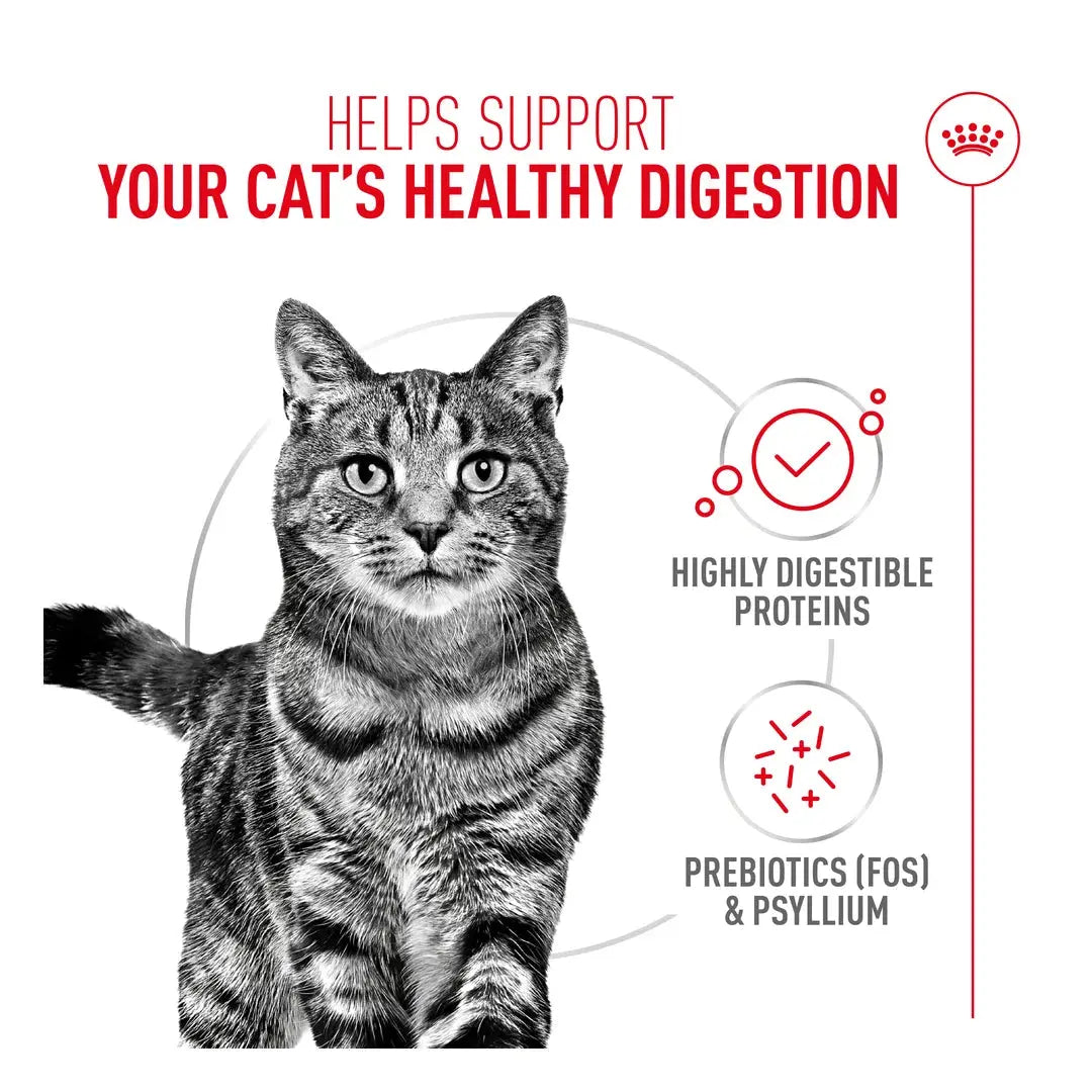 Royal Canin Digestive Care Dry Cat Food