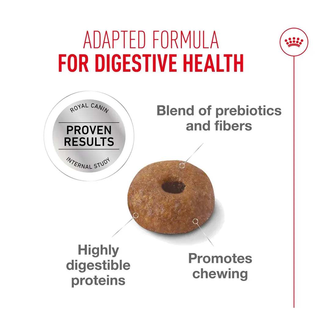 Royal Canin Digestive Care Dry Cat Food