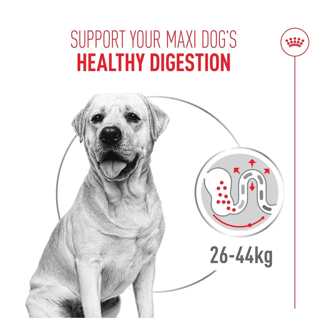 Royal Canin Digestive Care Maxi Dry Dog Food