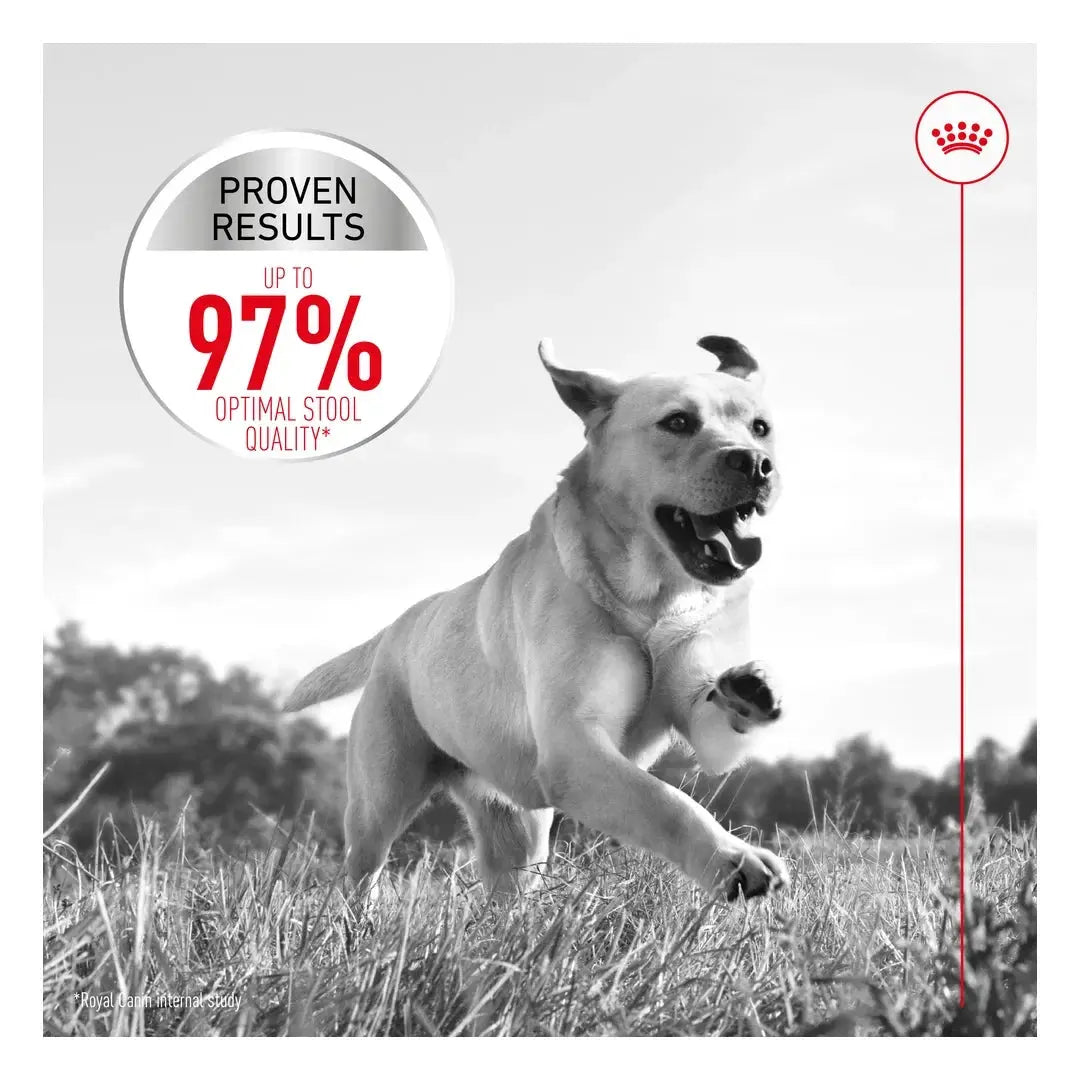 Royal Canin Digestive Care Maxi Dry Dog Food