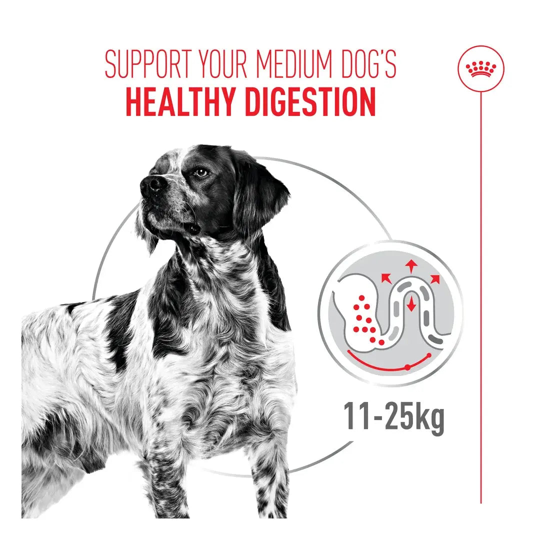 Royal Canin Digestive Care Medium Dry Dog Food