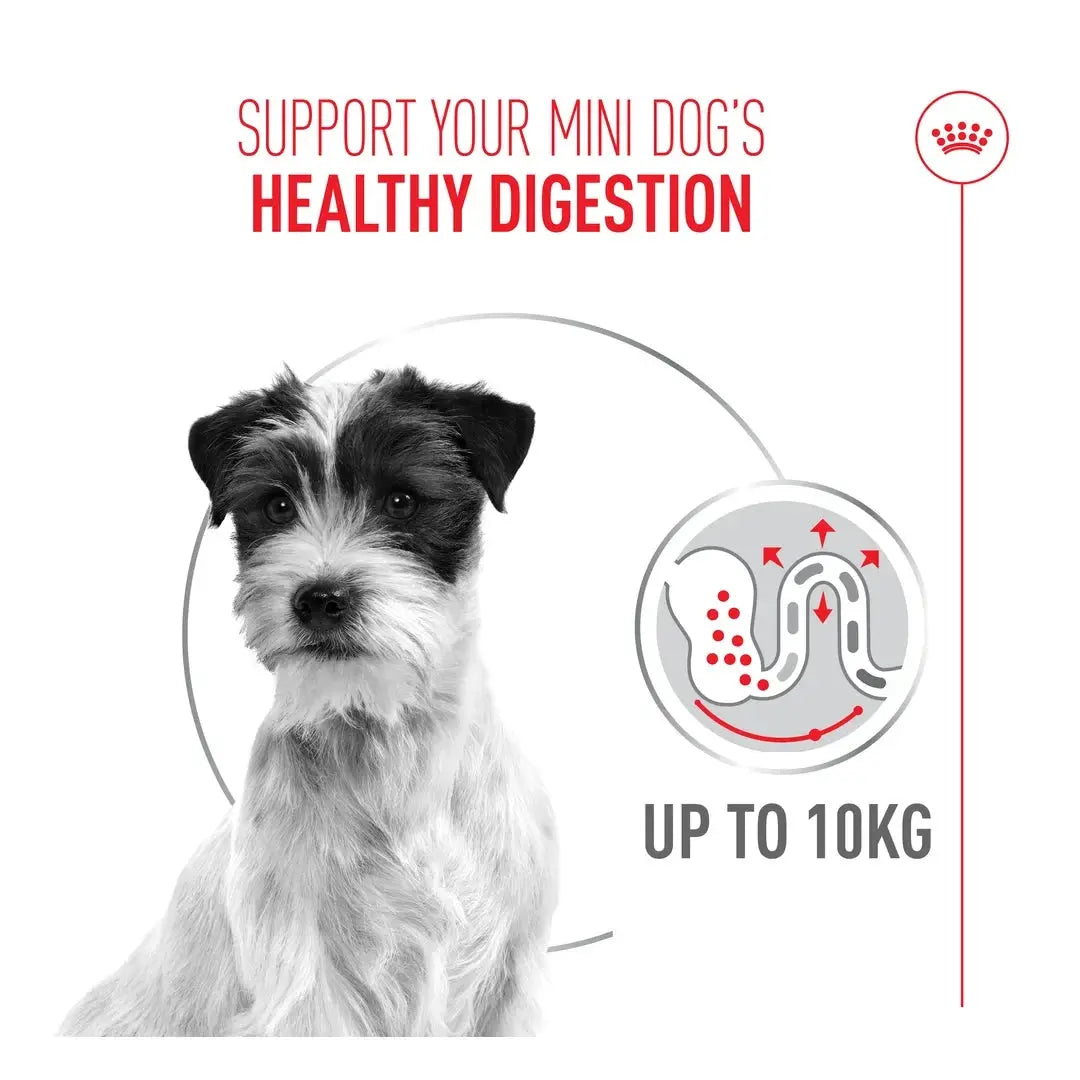 Royal Canin Digestive Care Mini Dry Dog Food