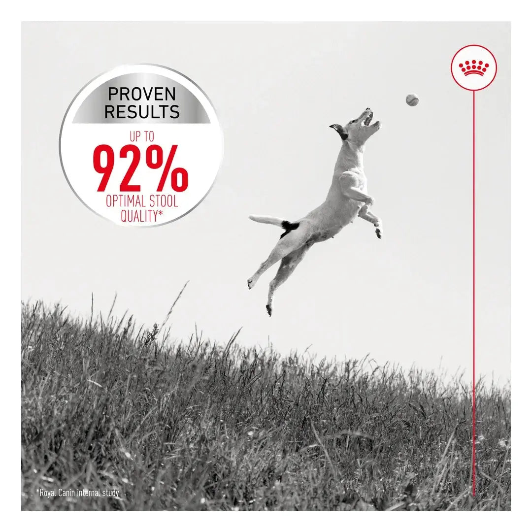Royal Canin Digestive Care Mini Dry Dog Food