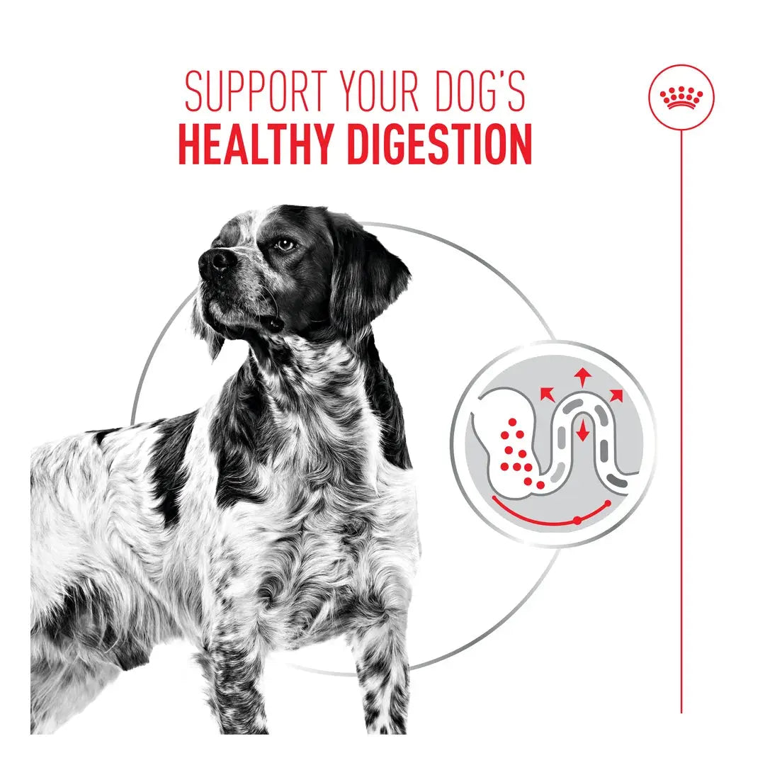 Royal Canin Digestive Care Wet Dog Food