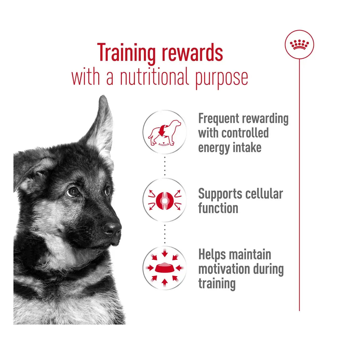 Royal Canin Educ Dog Chew Treats