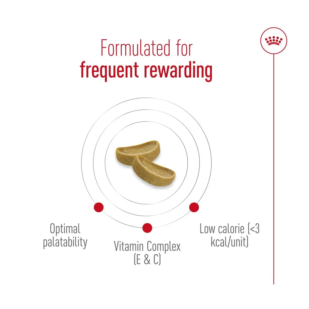 Royal Canin Educ Dog Chew Treats