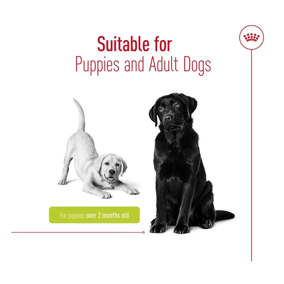 Royal Canin Educ Dog Chew Treats