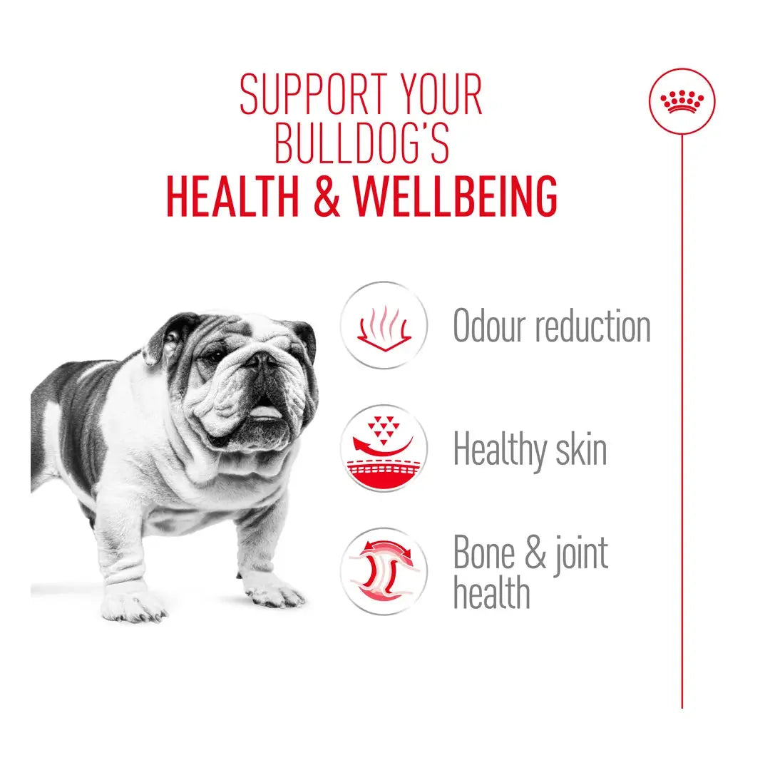 Royal Canin English Bulldog Adult Dry Dog Food