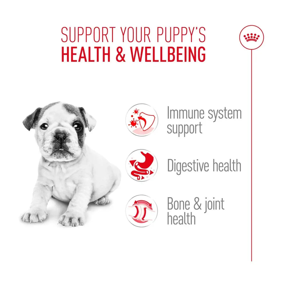 Royal Canin English Bulldog Puppy Dry Dog Food