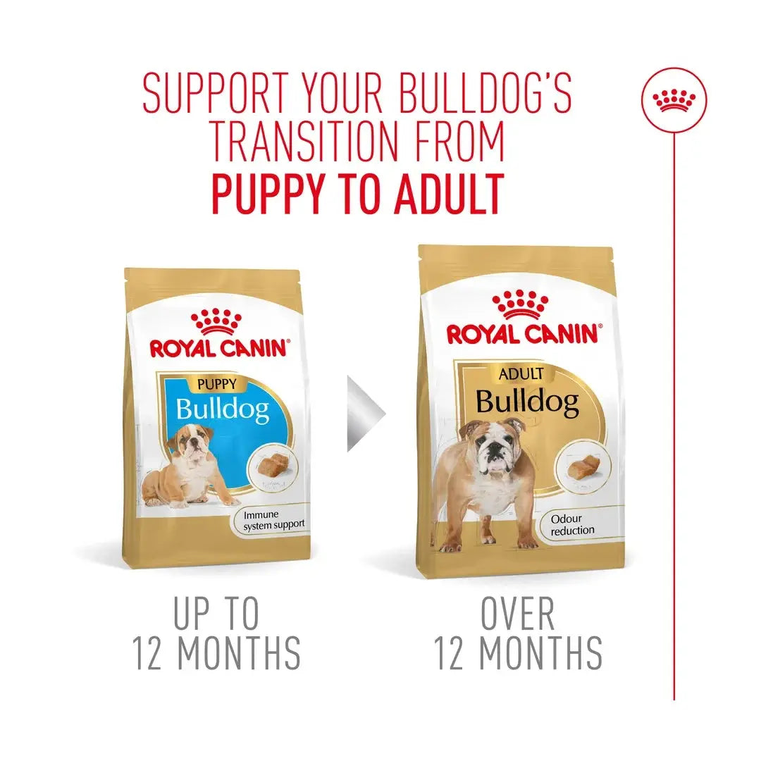 Royal Canin English Bulldog Puppy Dry Dog Food