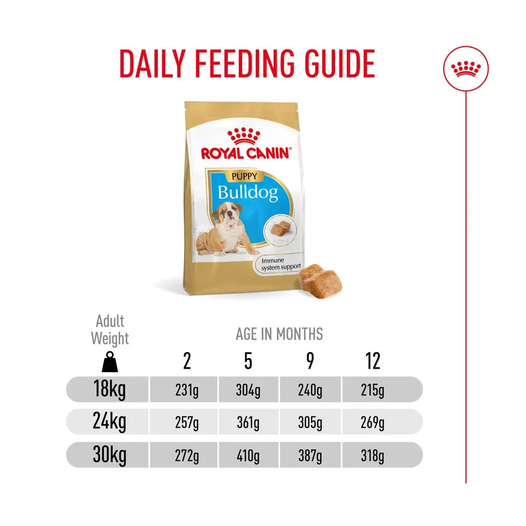 Royal Canin English Bulldog Puppy Dry Dog Food