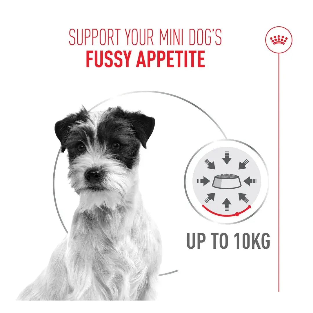 Royal Canin Exigent Mini Dry Dog Food