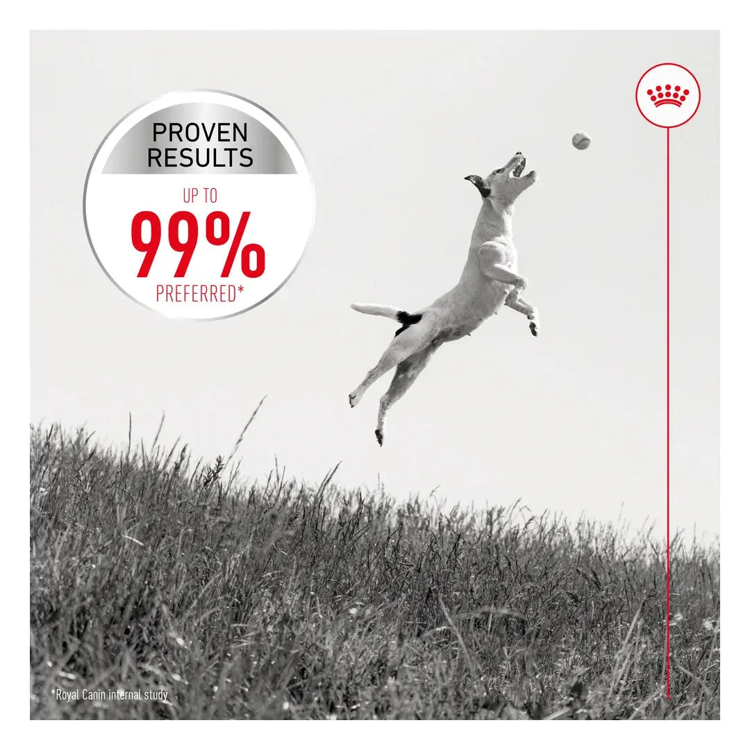 Royal Canin Exigent Mini Dry Dog Food