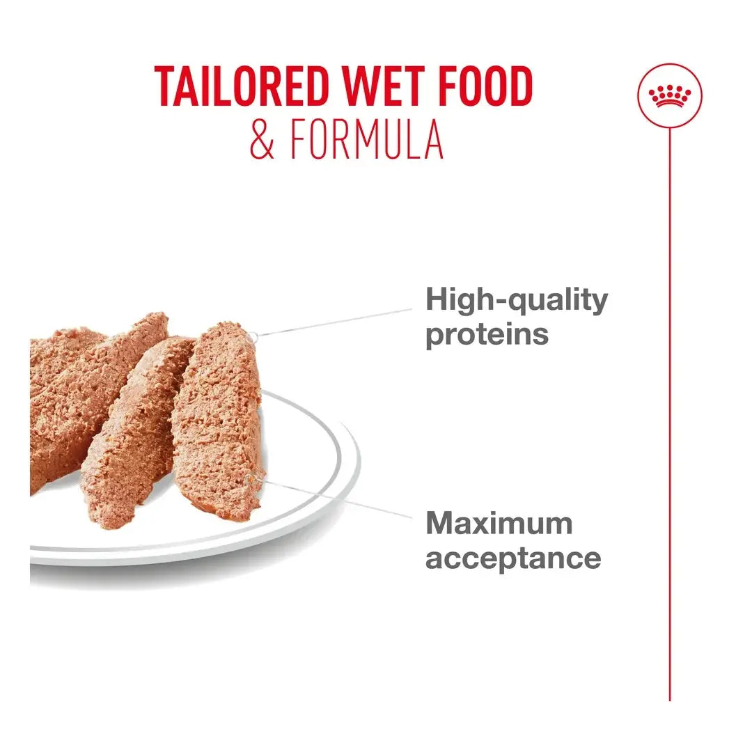 Royal Canin Exigent Wet Dog Food