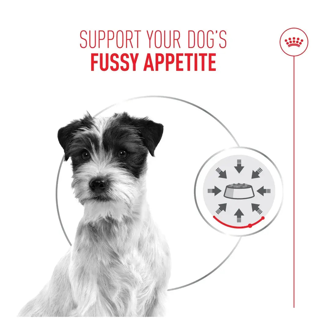 Royal Canin Exigent Wet Dog Food