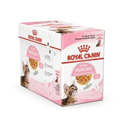Royal Canin Sterilised Kitten Chunks in Jelly Wet Cat Food   | Canine & Co
