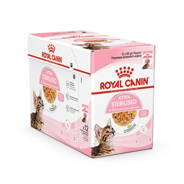 Royal Canin Sterilised Kitten Chunks in Jelly Wet Cat Food   | Canine & Co