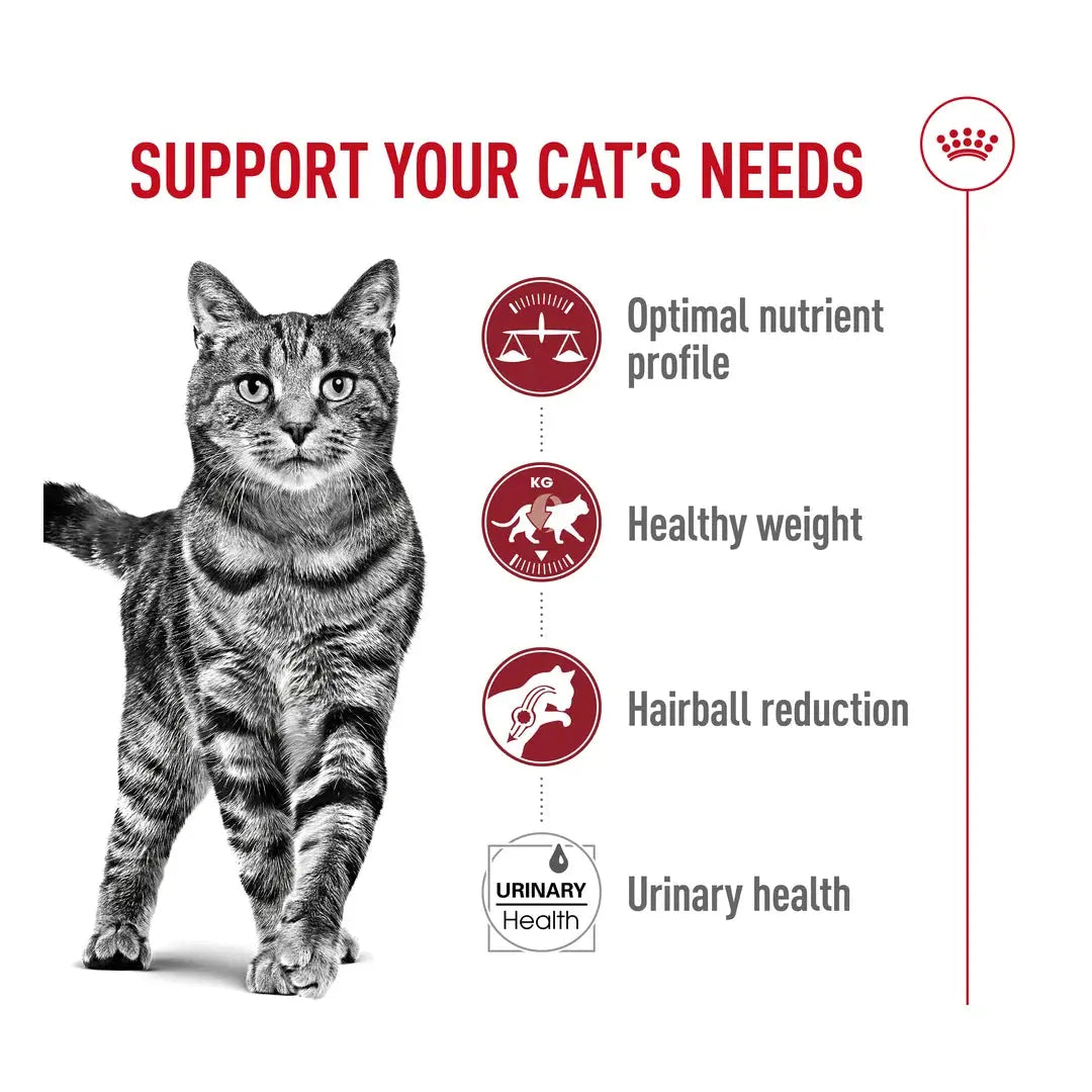 Royal Canin Fit 32 Dry Cat Food