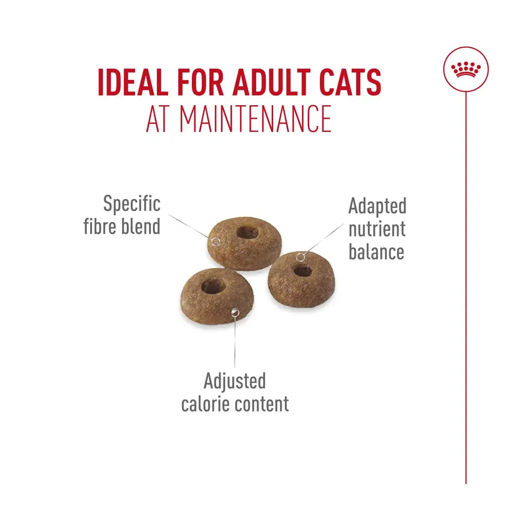 Royal Canin Fit 32 Dry Cat Food