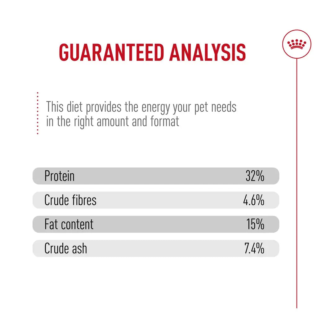 Royal Canin Fit 32 Dry Cat Food