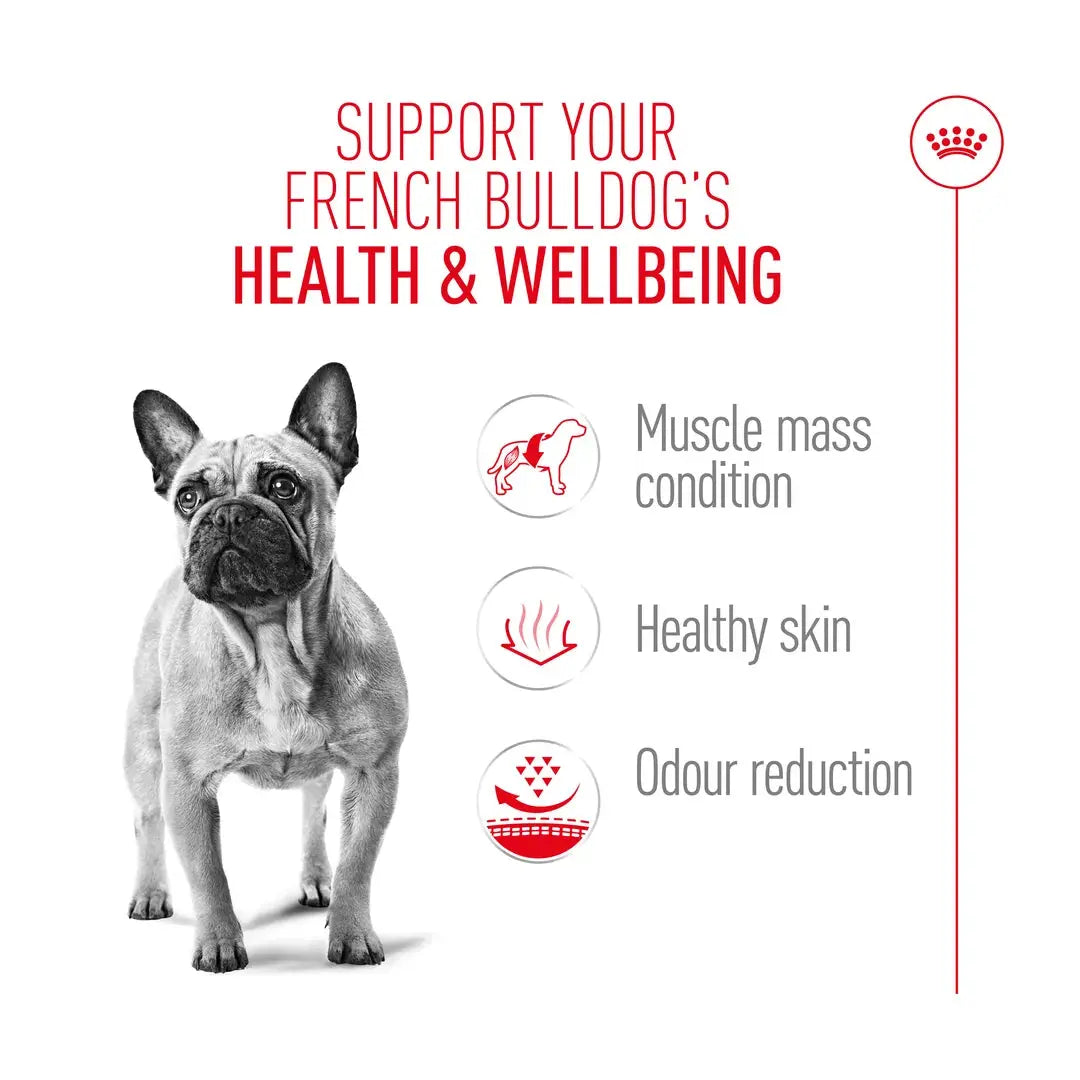 Royal Canin French Bulldog Adult Dry Dog Food