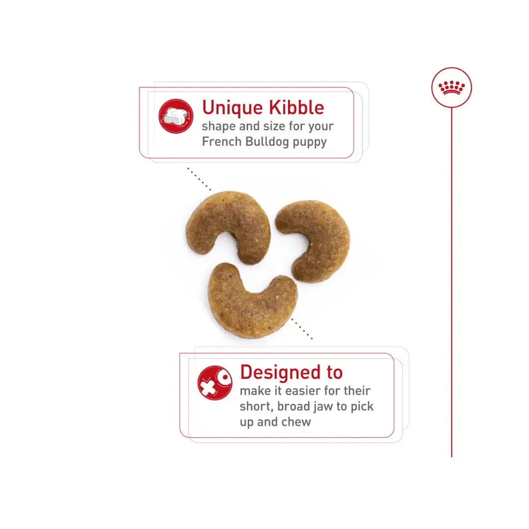 Royal Canin French Bulldog Puppy Dry Dog Food   | Canine & Co