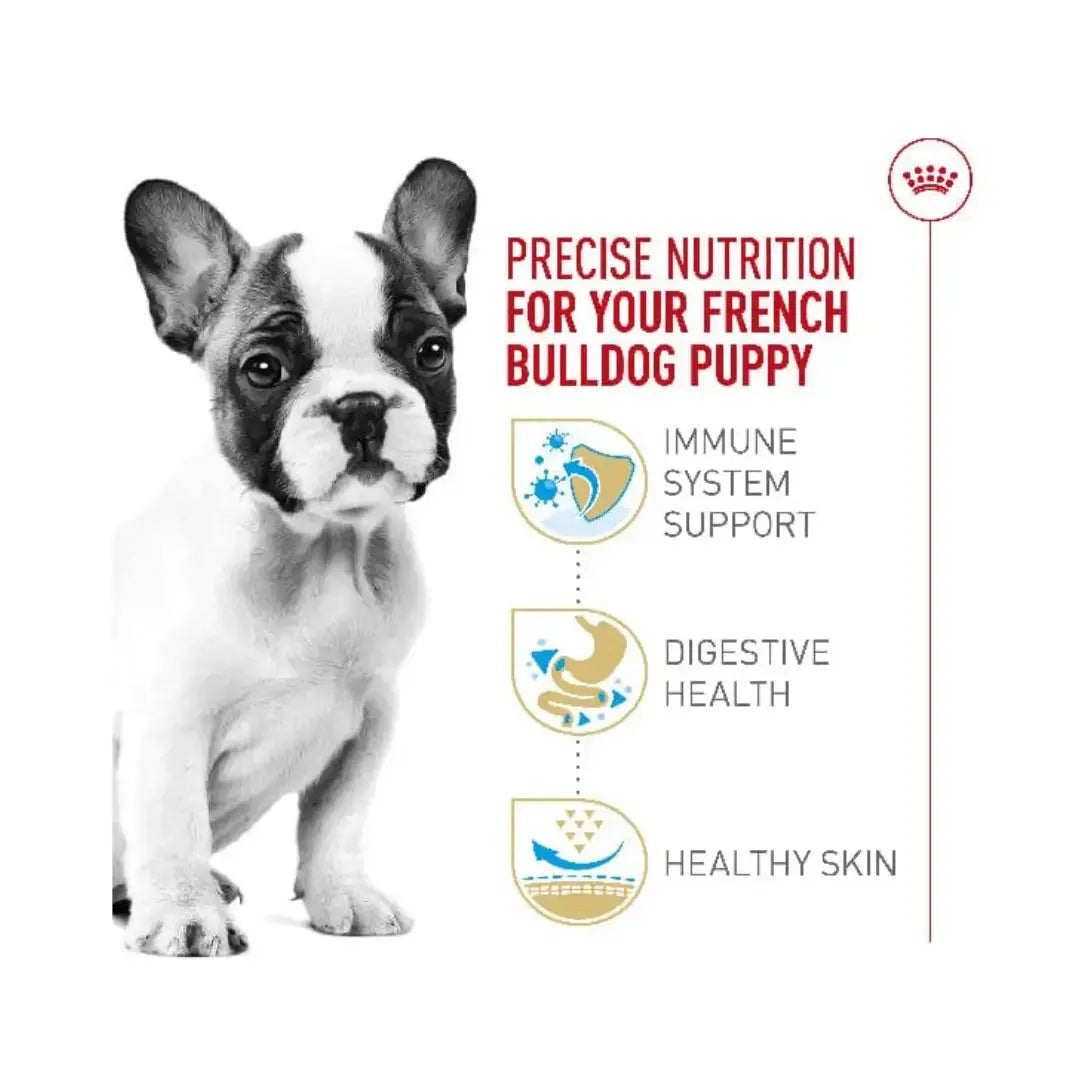 Royal Canin French Bulldog Puppy Dry Dog Food   | Canine & Co