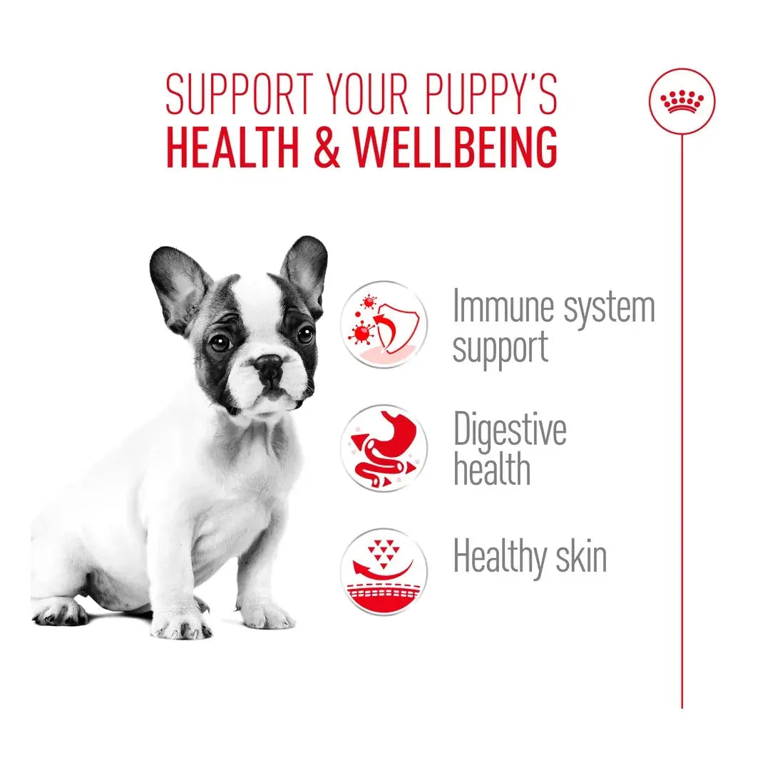 Royal Canin French Bulldog Puppy Dry Dog Food