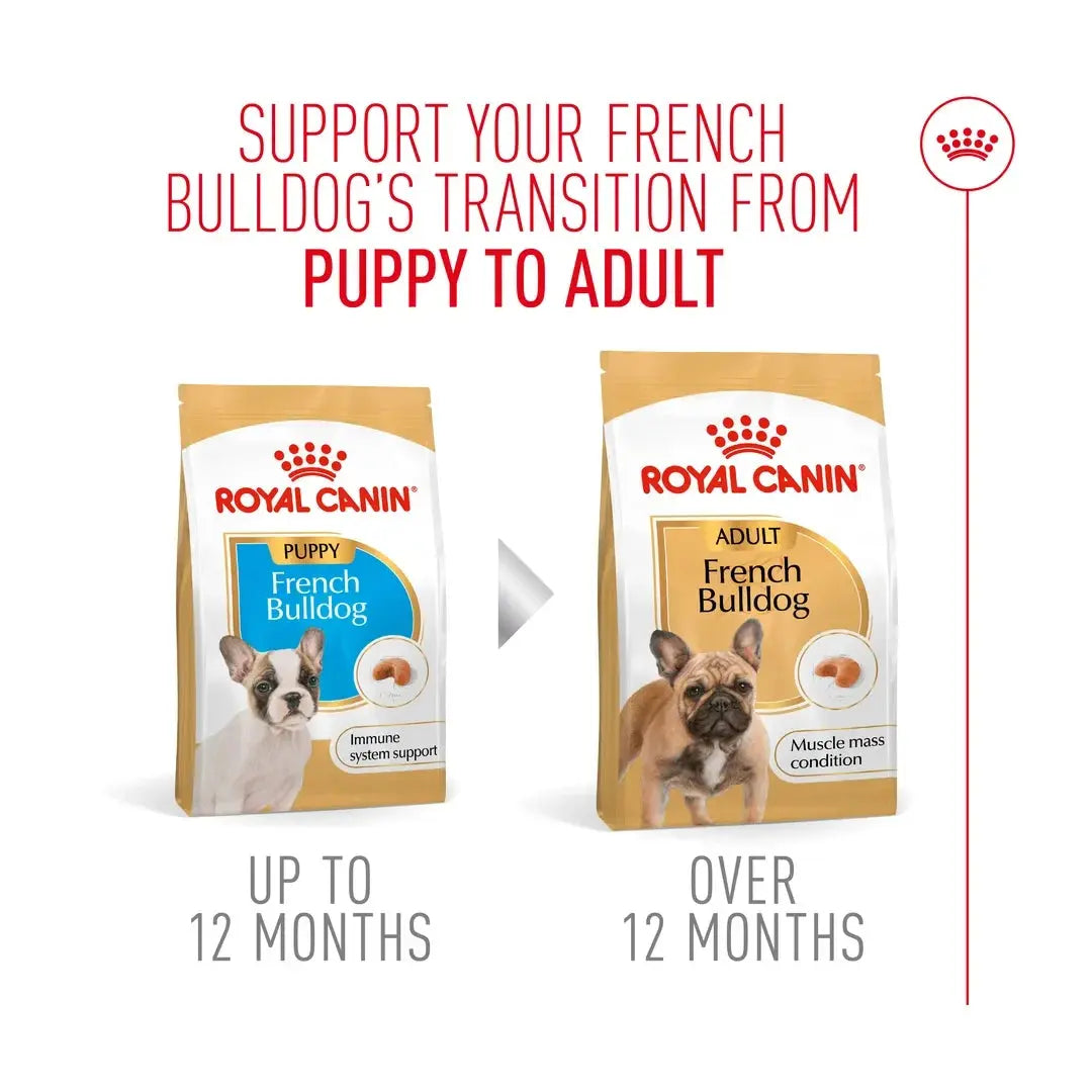 Royal Canin French Bulldog Puppy Dry Dog Food