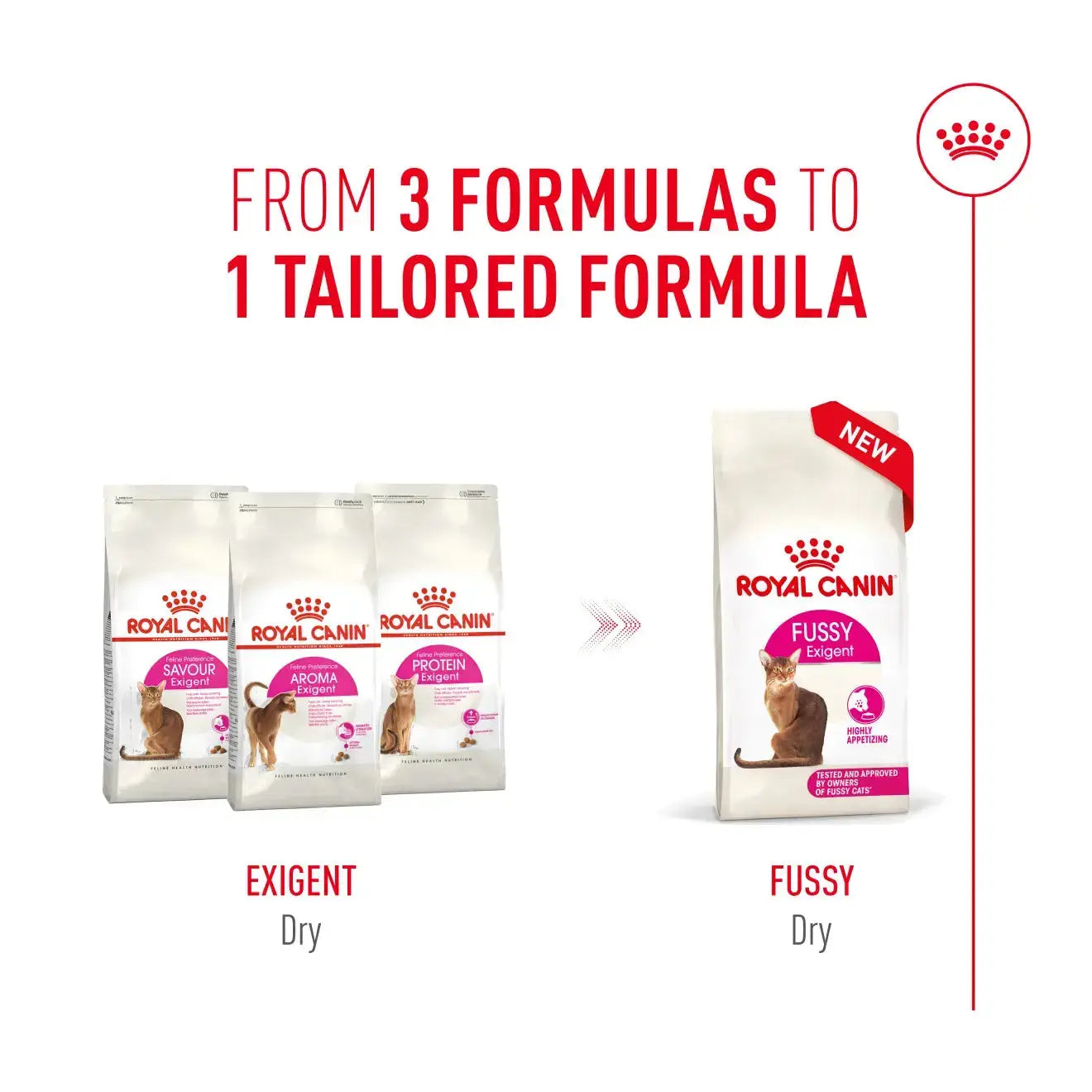 Royal Canin Fussy Exigent Dry Cat Food   | Canine & Co