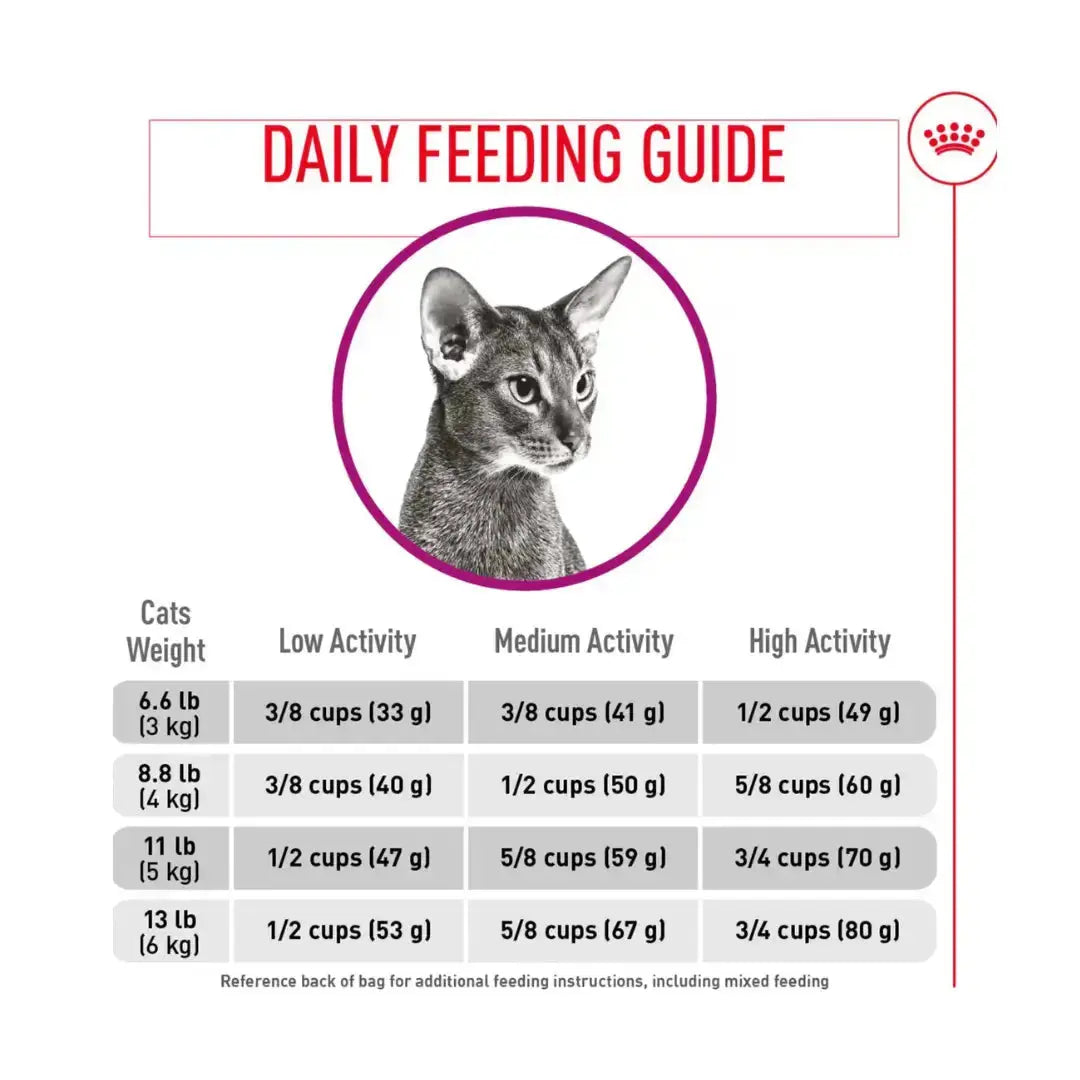 Royal Canin Fussy Exigent Dry Cat Food   | Canine & Co