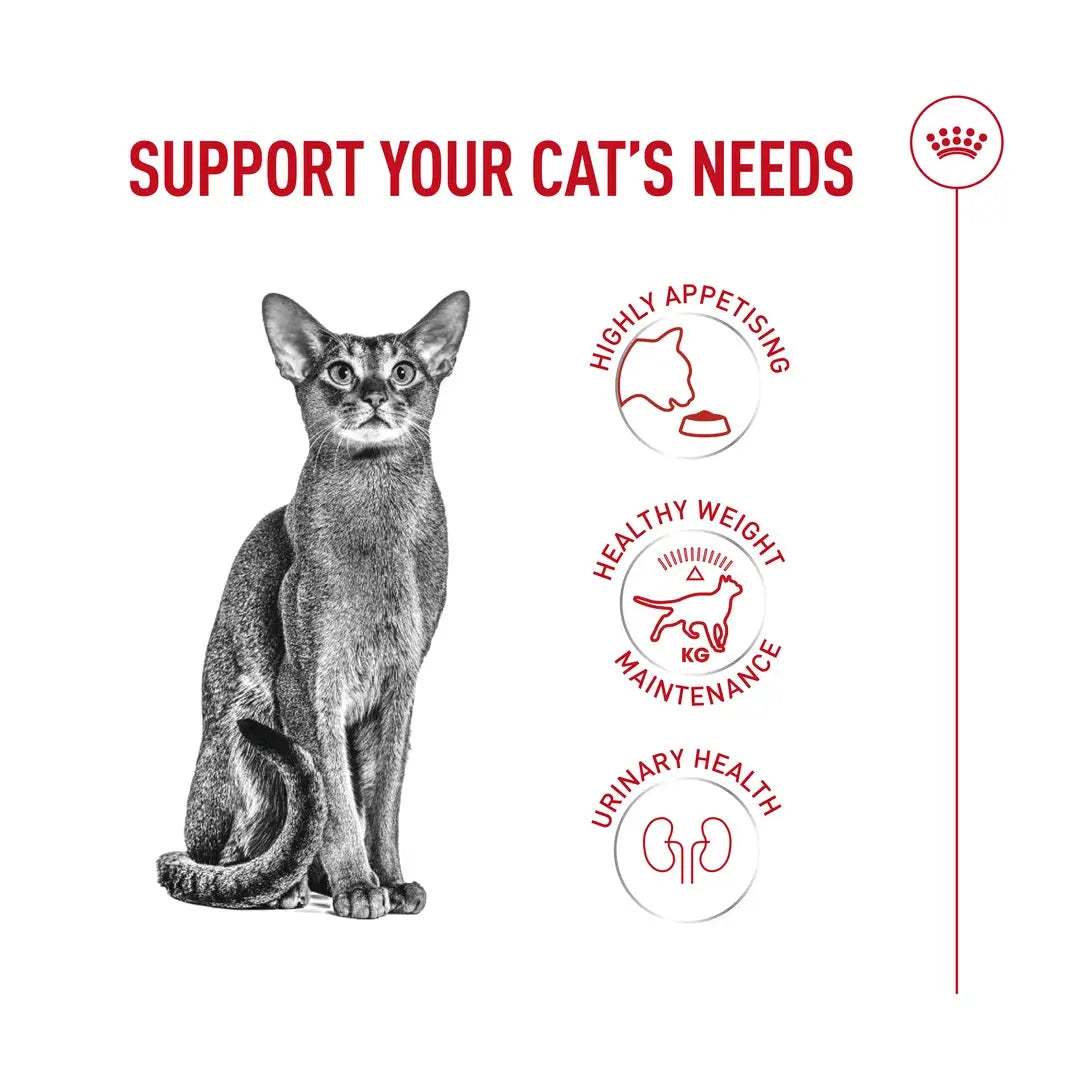 Royal Canin Fussy Exigent Dry Cat Food