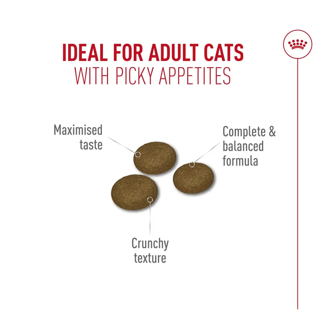 Royal Canin Fussy Exigent Dry Cat Food