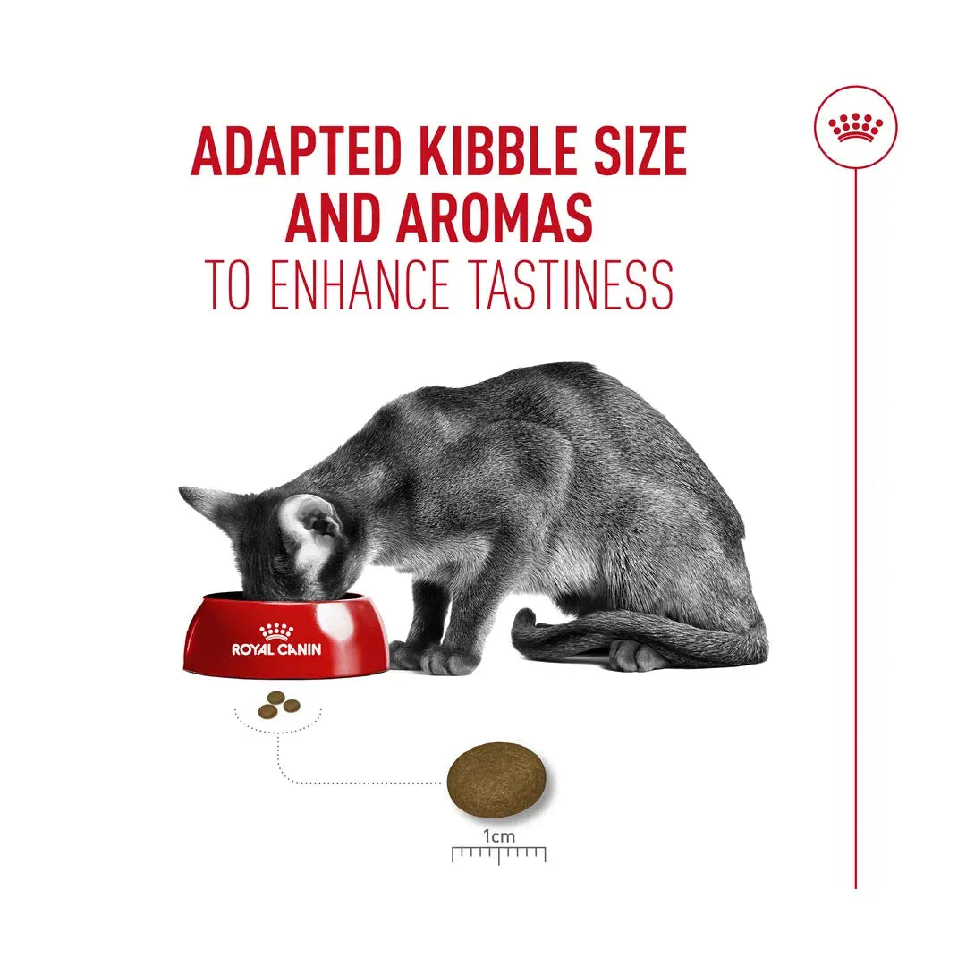 Royal Canin Fussy Exigent Dry Cat Food