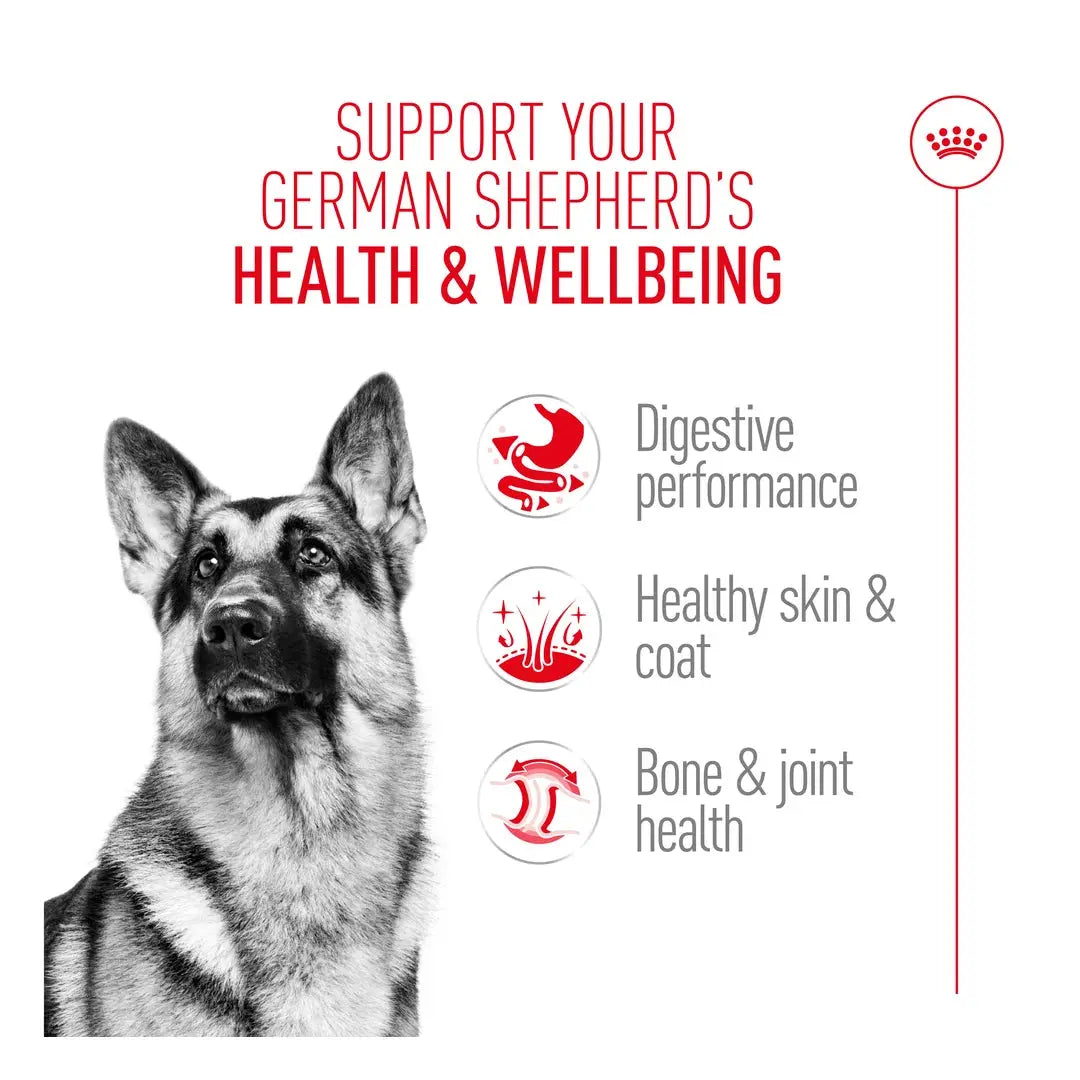 Royal Canin German Shepherd Adult Dry Dog Food