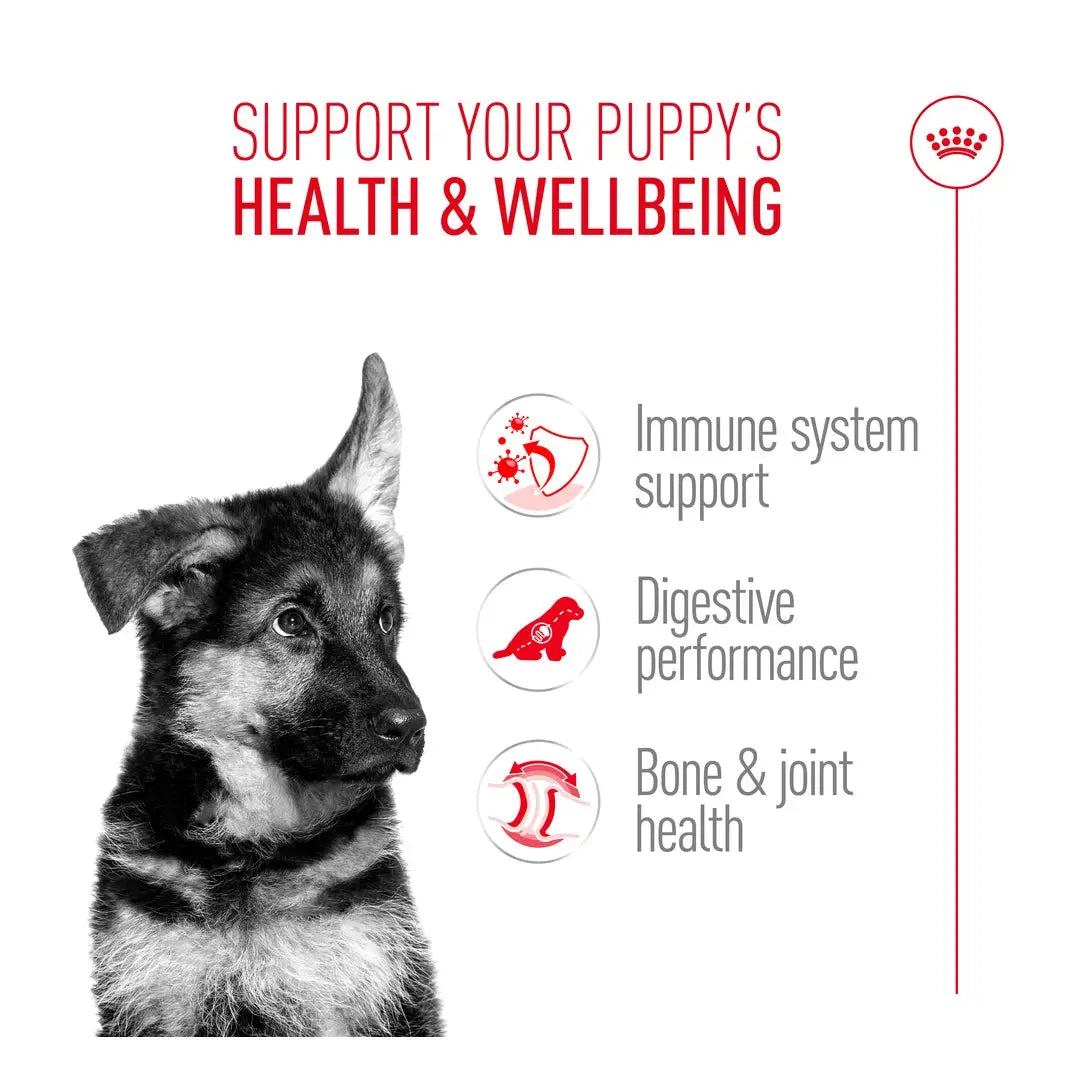 Royal Canin German Shepherd Puppy Dry Dog Food