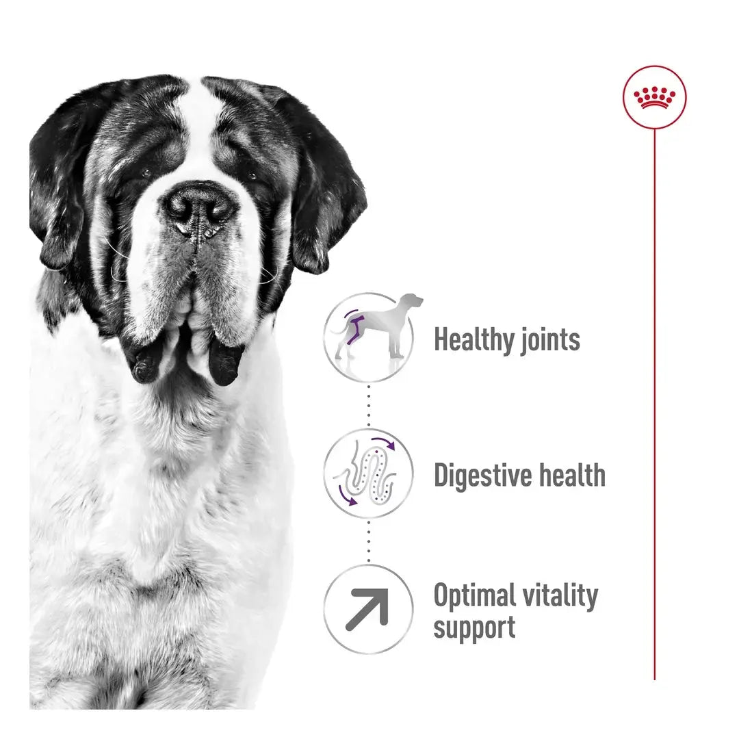 Royal Canin Giant Adult Dry Dog Food