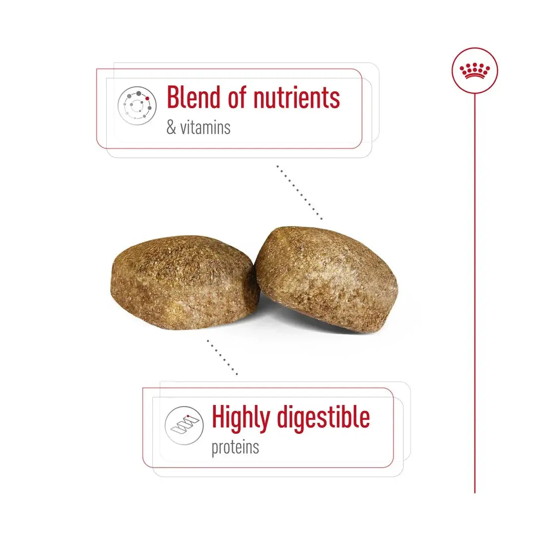 Royal Canin Giant Adult Dry Dog Food