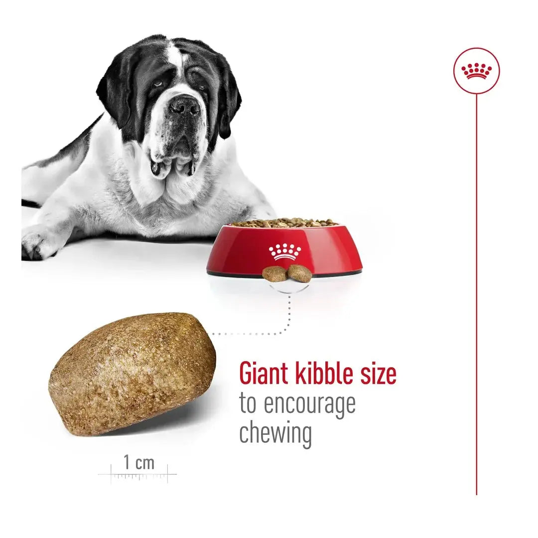 Royal Canin Giant Adult Dry Dog Food
