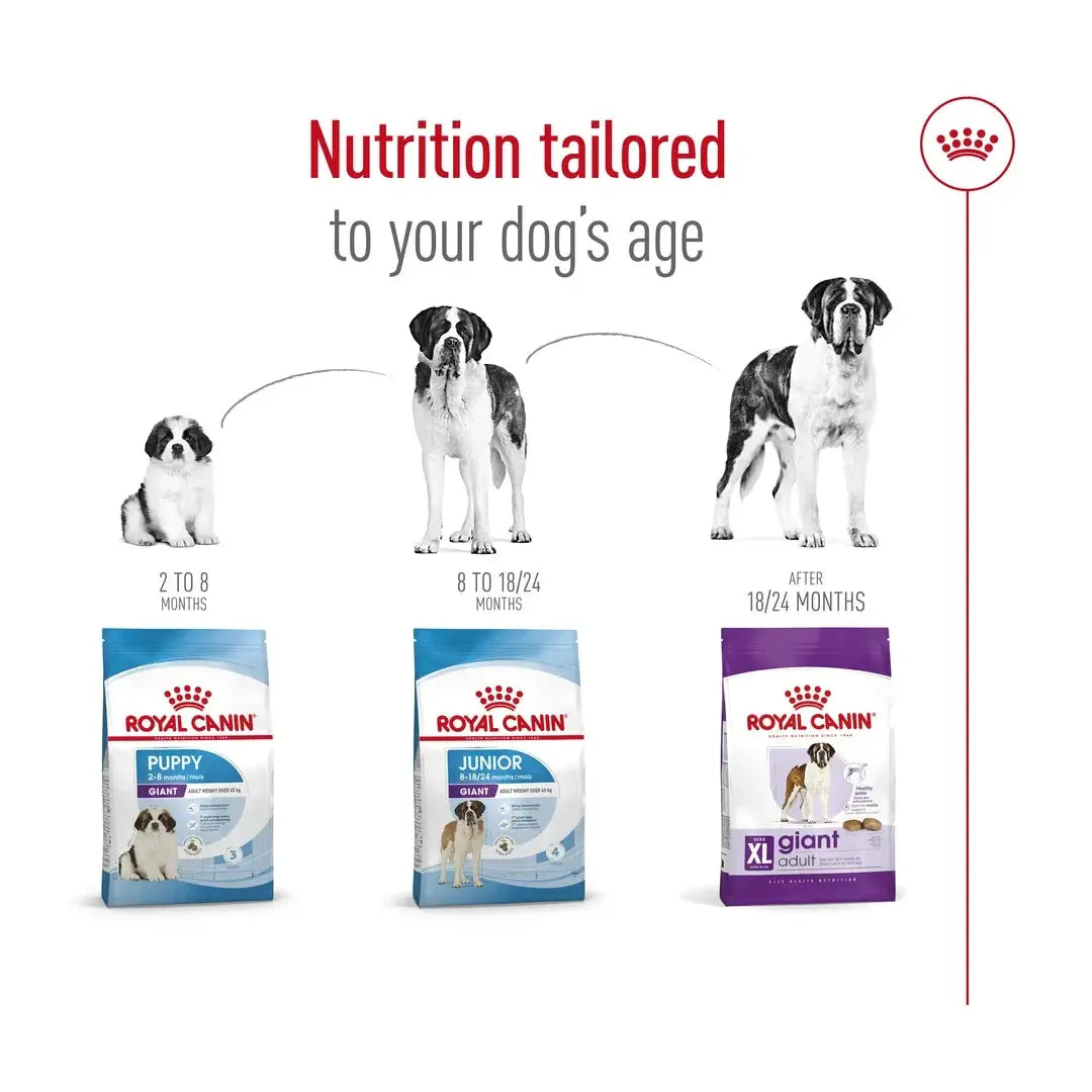 Royal Canin Giant Adult Dry Dog Food