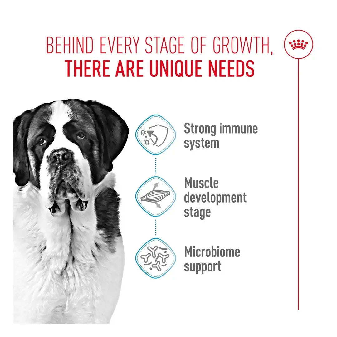 Royal Canin Giant Junior Dry Dog Food