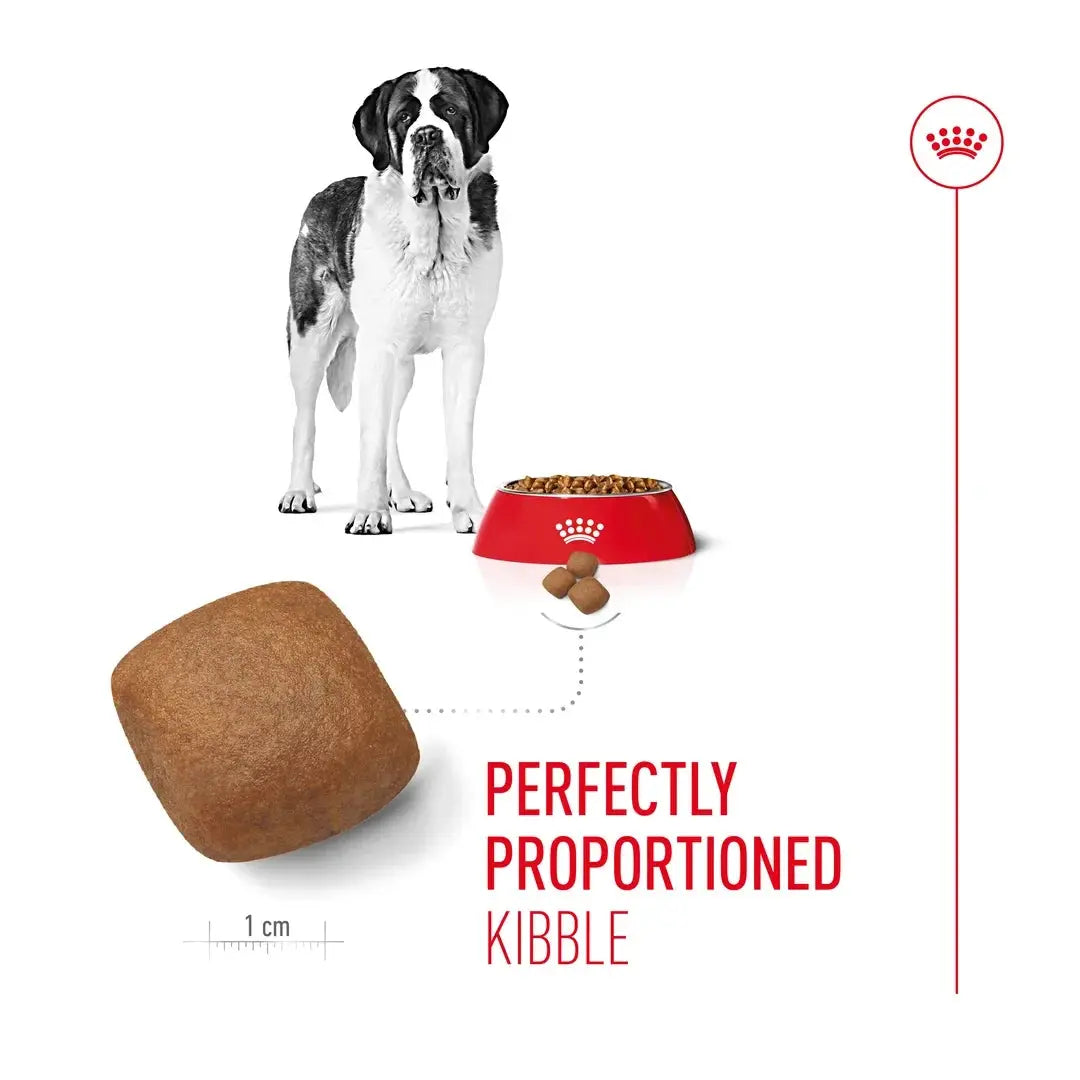 Royal Canin Giant Junior Dry Dog Food