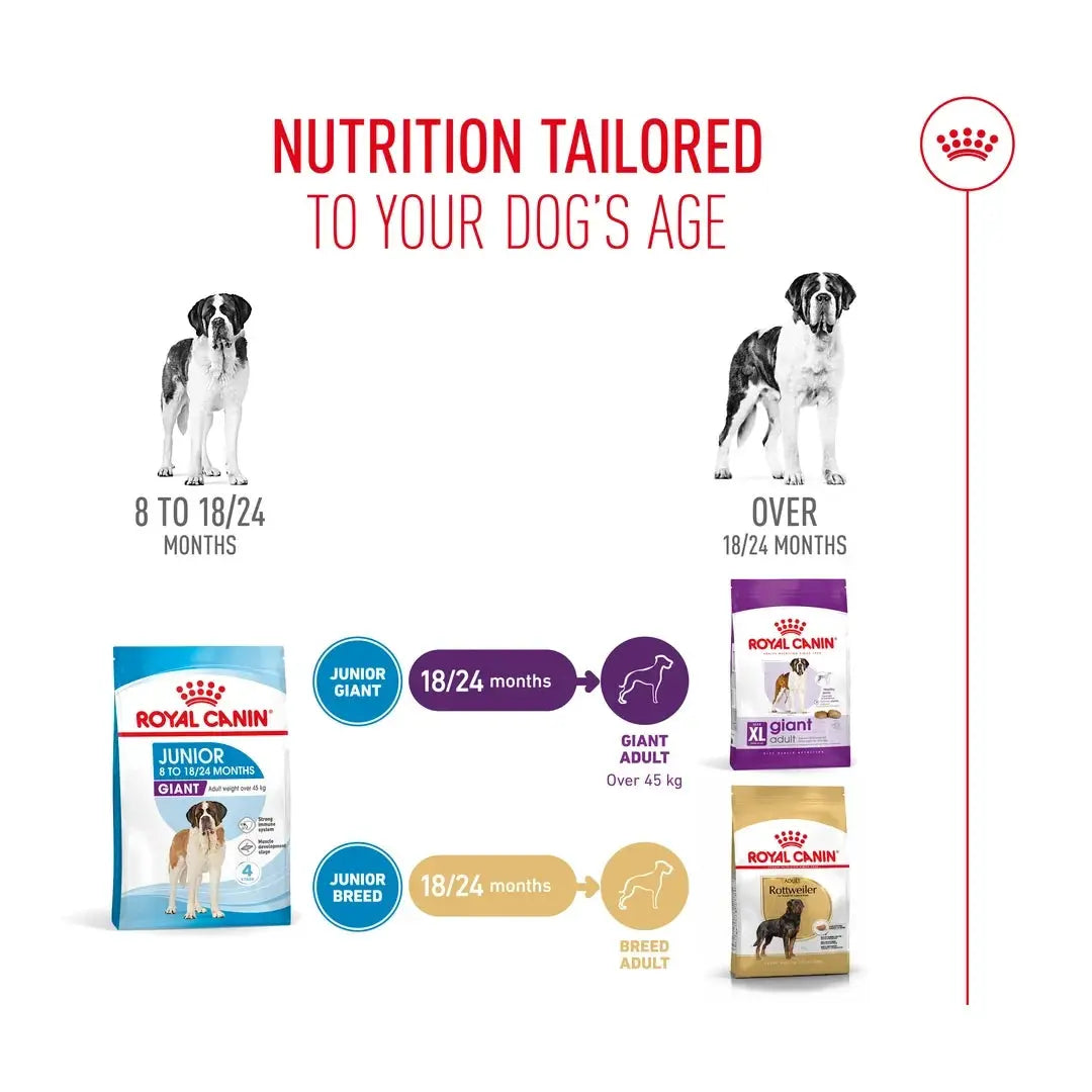 Royal Canin Giant Junior Dry Dog Food