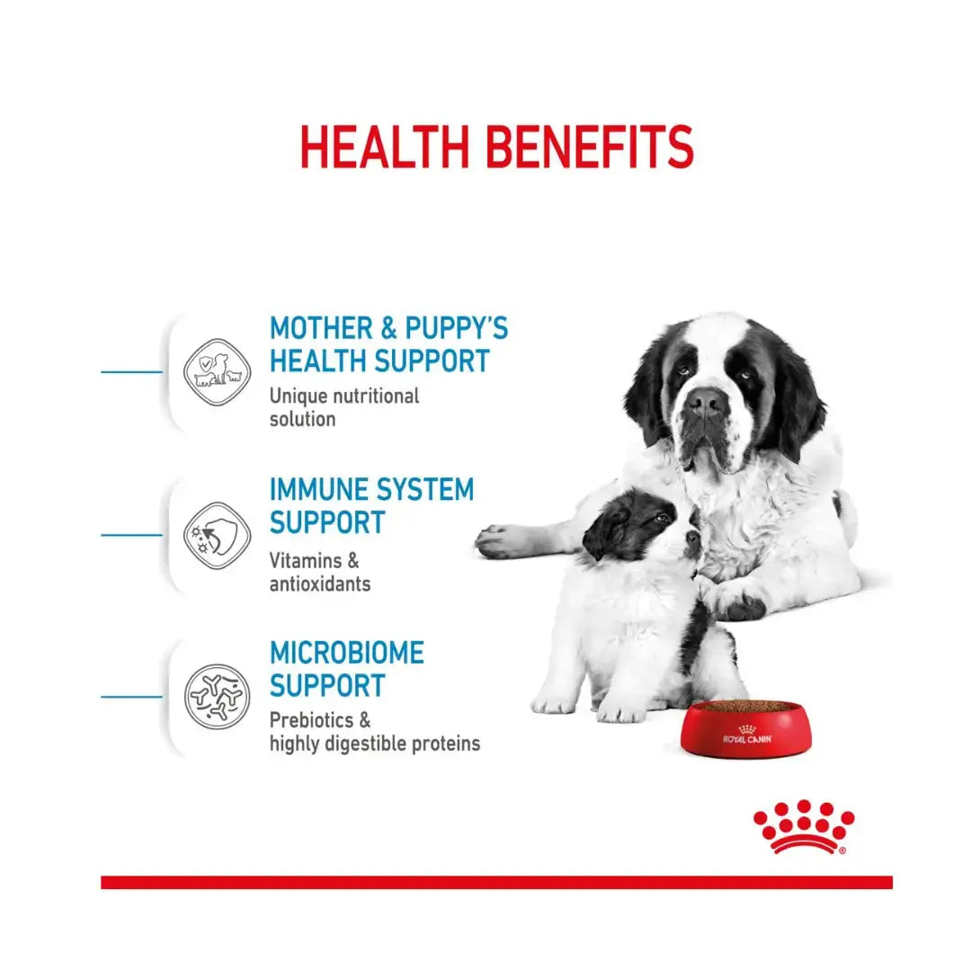 Royal Canin Giant Starter Mother & Baby Dry Dog Food   | Canine & Co