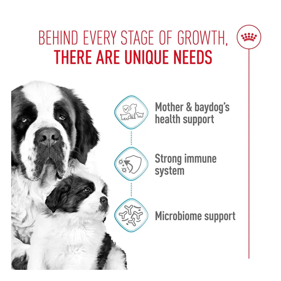 Royal Canin Giant Starter Mother & Baby Dry Dog Food