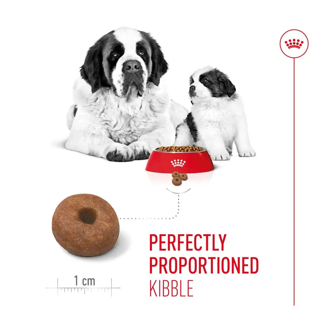 Royal Canin Giant Starter Mother & Baby Dry Dog Food