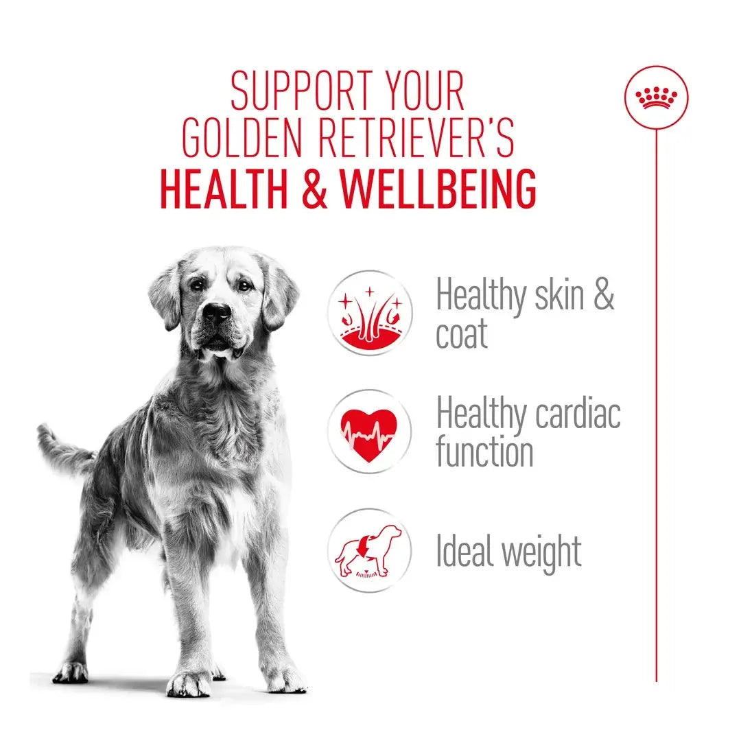 Royal Canin Golden Retriever Adult Dry Dog Food