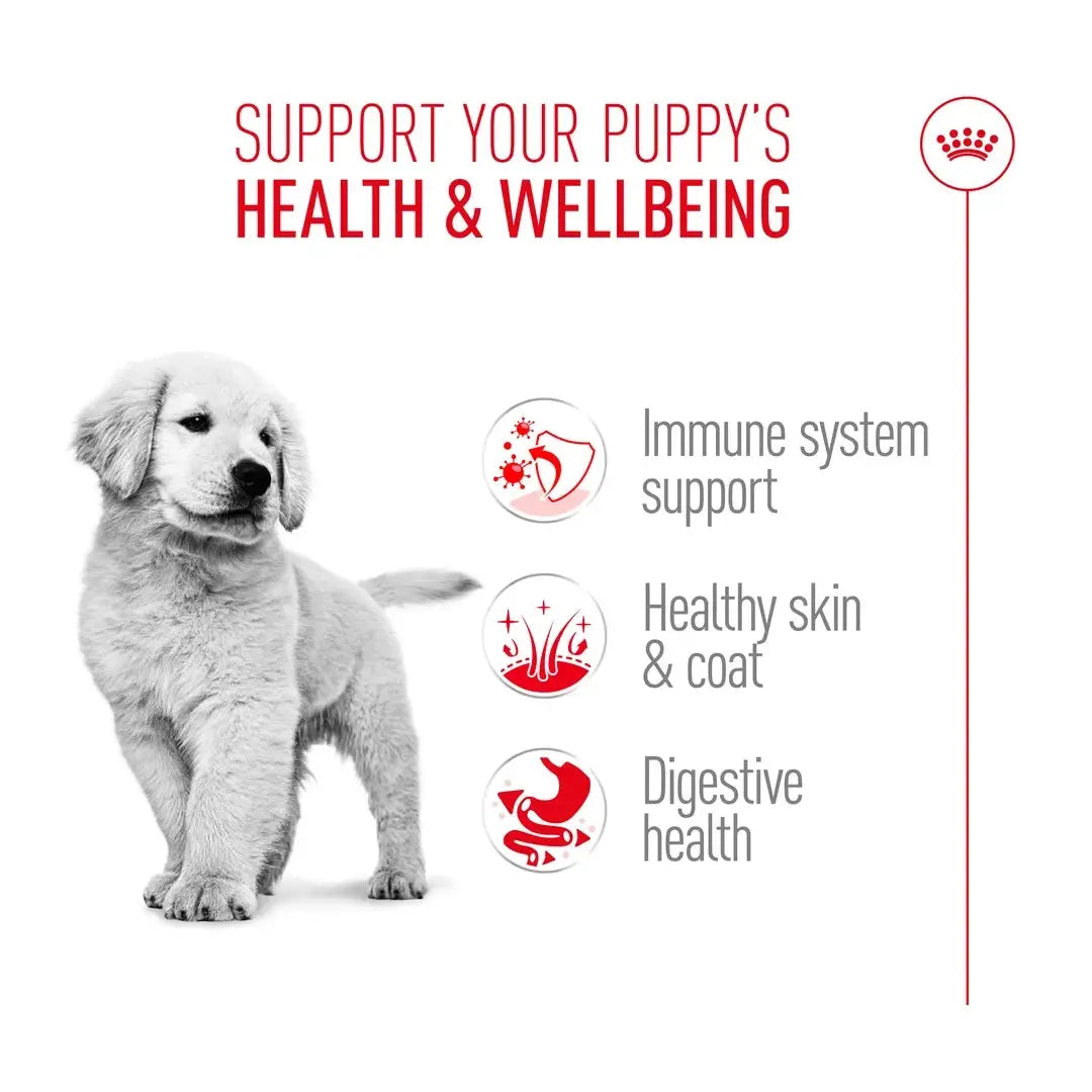 Royal Canin Golden Retriever Puppy Dry Dog Food