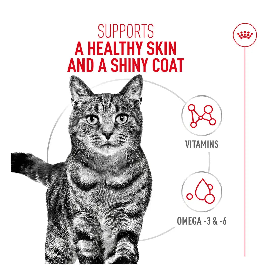 Royal Canin Hair & Skin Cat Wet Cat Food Pouch
