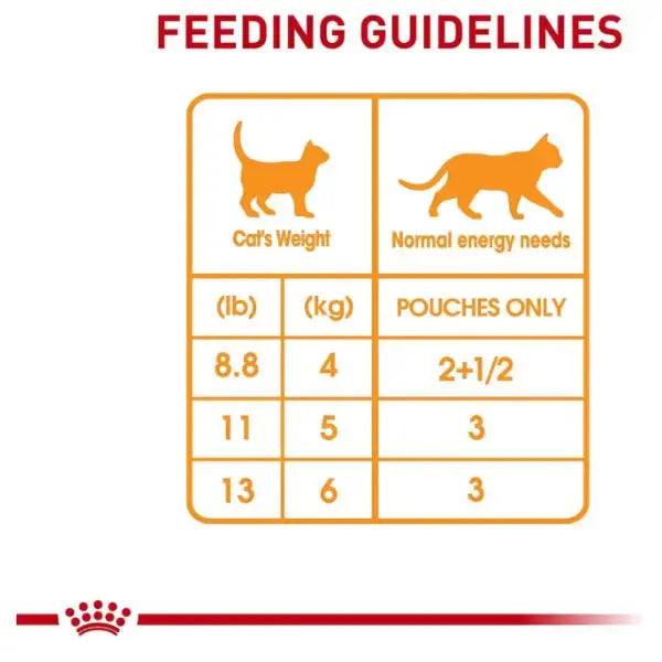Royal Canin Hair & Skin Cat Wet Cat Food Pouch   | Canine & Co